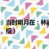 當時明月在：林徽因往事（關于當時明月在：林徽因往事介紹）