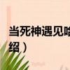 當死神遇見哈士奇（關于當死神遇見哈士奇介紹）