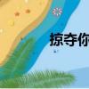 掠奪你的愛txt（掠奪你的愛）