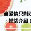 當愛情只剩殘骸：婚戰（關于當愛情只剩殘骸：婚戰介紹）