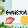 廣東疏輪大肉姜（關于廣東疏輪大肉姜介紹）