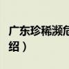 廣東珍稀瀕危植物（關于廣東珍稀瀕危植物介紹）