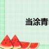 當涂青山（關于當涂青山介紹）