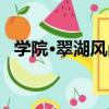 學院·翠湖風尚（關于學院·翠湖風尚介紹）