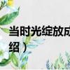 當時光綻放成花火（關于當時光綻放成花火介紹）