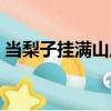當梨子掛滿山崖（關于當梨子掛滿山崖介紹）