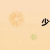 少公（關于少公簡介）