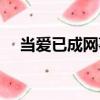 當愛已成網事（關于當愛已成網事介紹）