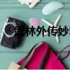 武林外傳妙筆生花（武林外傳妙筆生花）