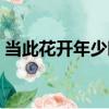 當此花開年少時（關于當此花開年少時介紹）