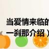當愛情來臨的那一剎那（關于當愛情來臨的那一剎那介紹）