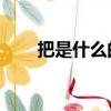 把是什么的結構（ba是什么的縮寫）