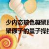 少內態玻色凝聚原子的量子操控與混沌（關于少內態玻色凝聚原子的量子操控與混沌簡介）