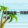 如果你有一雙翅膀你會做什么呢（如果你有一雙翅膀你會做什么）