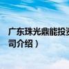 廣東珠光鼎能投資有限公司（關于廣東珠光鼎能投資有限公司介紹）