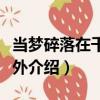 當夢碎落在千里之外（關于當夢碎落在千里之外介紹）