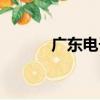廣東電子（關于廣東電子介紹）