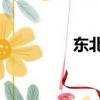 東北2人轉（東北2人轉）