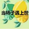 當柿子遇上世子（關于當柿子遇上世子介紹）