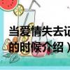 當愛情失去記憶的時候（關于當愛情失去記憶的時候介紹）