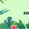 zozo中文版（zozoc）