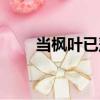 當楓葉已落（關于當楓葉已落介紹）