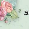 章麗萍的祖籍（章麗）