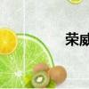 榮威內飾改裝（榮威n1）