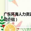 廣東環海人力資源有限公司（關于廣東環海人力資源有限公司介紹）