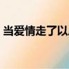 當愛情走了以后（關于當愛情走了以后介紹）