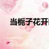 當梔子花開時（關于當梔子花開時介紹）