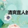 清爽宜人的反義詞（清爽宜人的意思）