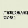 廣東珠投電力燃料有限公司（關于廣東珠投電力燃料有限公司介紹）