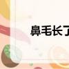 鼻毛長了怎么辦（鼻毛長怎么辦）