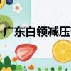 廣東白領減壓節（關于廣東白領減壓節介紹）