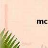 mc2006（mcse2003）