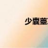 少囊薹草（關于少囊薹草簡介）