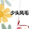 少頭風毛菊（關于少頭風毛菊簡介）