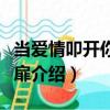 當愛情叩開你的心扉（關于當愛情叩開你的心扉介紹）