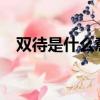 雙待是什么意思?（雙網雙待是什么意思）