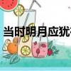 當時明月應猶在（關于當時明月應猶在介紹）