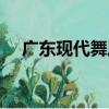 廣東現代舞周（關于廣東現代舞周介紹）