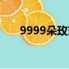 9999朵玫瑰花多少錢（9999朵玫瑰）