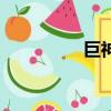巨神戰擊隊（巨人私服）