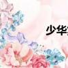 少華集（關于少華集簡介）