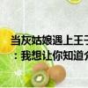 當灰姑娘遇上王子：我想讓你知道（關于當灰姑娘遇上王子：我想讓你知道介紹）