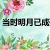 當時明月已成殤（關于當時明月已成殤介紹）