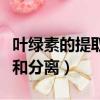 葉綠素的提取和分離實驗圖片（葉綠素的提取和分離）