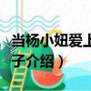 當楊小妞愛上瓜娃子（關于當楊小妞愛上瓜娃子介紹）