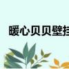 暖心貝貝壁掛爐說明書（暖心貝貝壁掛爐）